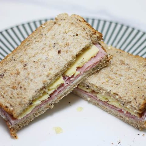 hamNcheese sandwich